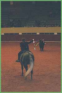 bullfight