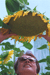 sunshine!